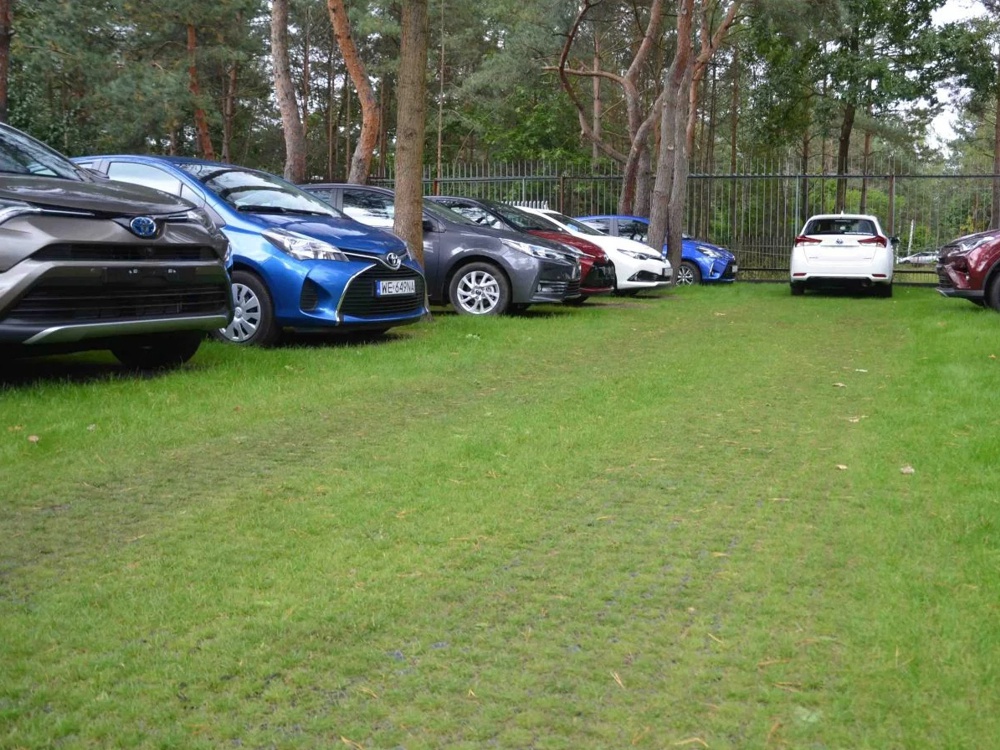 Zatrávňovacie tvárnice Stella Green zatrávnené parkovisko